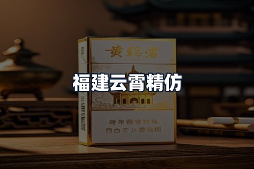 福建云霄精仿